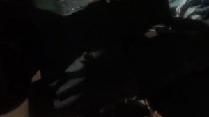 Замена подвесного подшипника карданного  вала Ниссан Х-Тrail T32