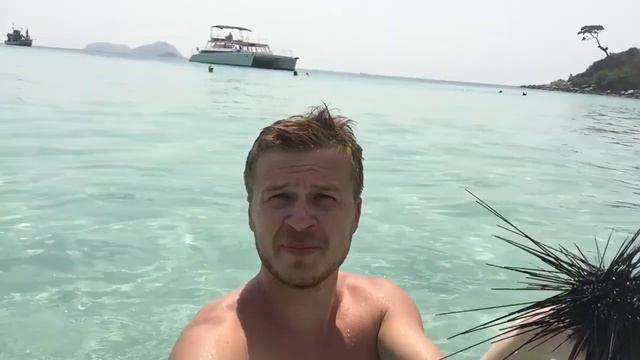 Ёж коней двинул смотреть онлайн