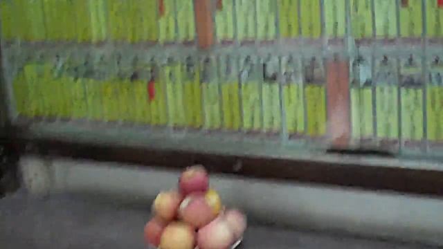 Honoring dead ancestors at Guangzhou's (China) Six Banyan Trees Temple смотреть онлайн