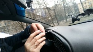 Как легко найти сверчки в салоне авто!