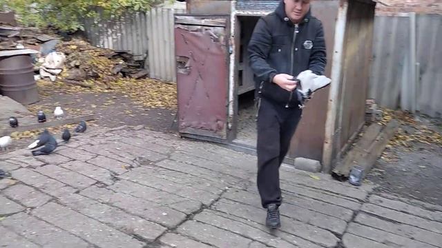 В гостях у старых друзей (Саша Абрамов) смотреть онлайн