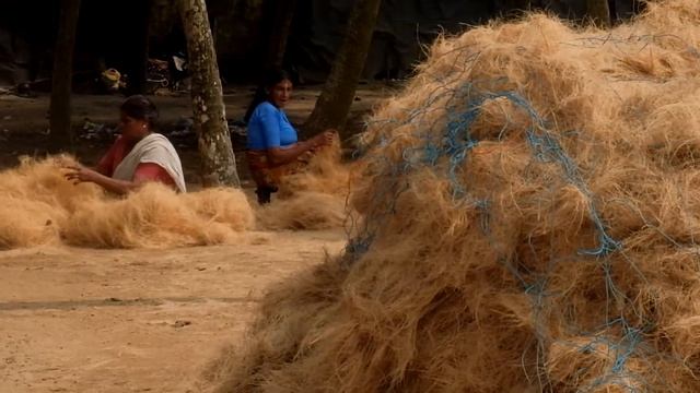 Производство койра в Индии, обработака кокосового волокна/The coir industry in Kerala смотреть онлайн