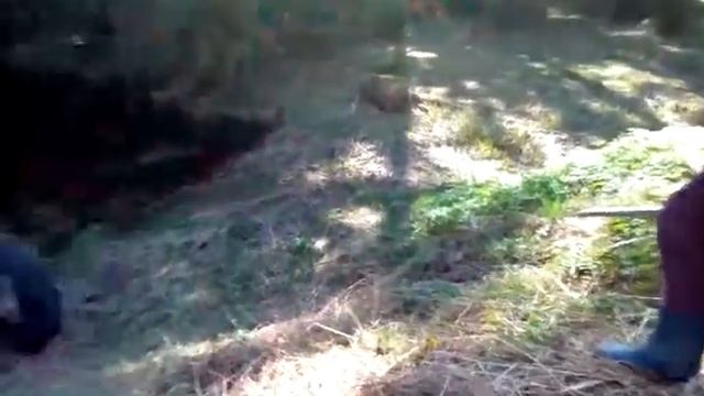Колесо катится в болото смотреть онлайн