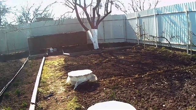 Дача на юге, мартовская погода в Таганроге // Dacha in the south, March weather in Taganrog смотреть онлайн