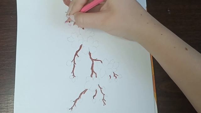 Как нарисовать сакуру цветными карандашами ? смотреть онлайн