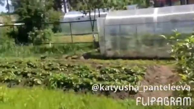 Карелия / Ихала / кусочек лета 2017 / давай к нам в Карелию смотреть онлайн