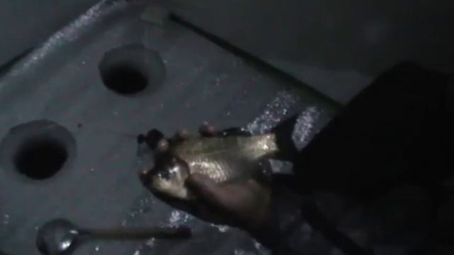 Клёв карася,озеро: Косколь.1 часть . смотреть онлайн