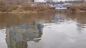 Roger Trofey 3500  Yamaha f4