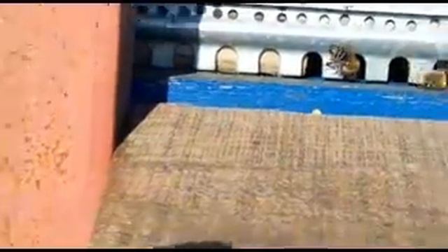 Обножка в феврале. Расплод в семье. смотреть онлайн
