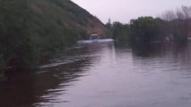 Истана сможет