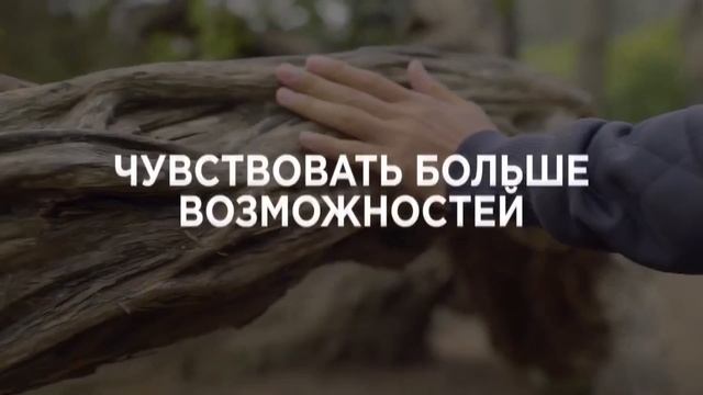 Зачем вам интуиция? | Соня Шокет смотреть онлайн