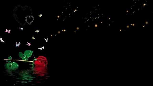 Футаж красная роза, бабочки, блёстки на чёрном фоне/red rose, butterflies, sequins смотреть онлайн