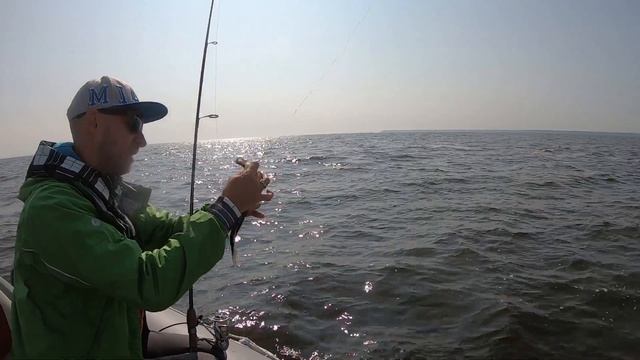 В поисках Трудового Судака на Киевском море смотреть онлайн