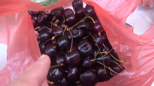 Аланья Рынок в Оба 5 августа Моя покупка на 30 лир смотреть онлайн