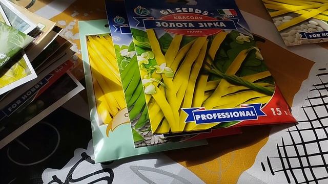 получила семена,купила лук на посадку