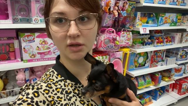 VLOG:Все хорошо????/Гуляем с Тимой по магазину?/Распаковка✅11.08.2021 #Распаковка #Влог #Подписчик смотреть онлайн