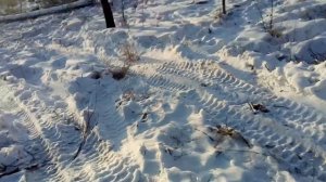 УАЗ головастик влесу!