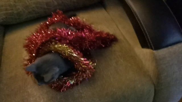 Кисонька после праздника смотреть онлайн
