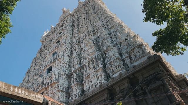 Йога-тур Magic Kerala INDIA 2019 Виктория Даракова Yantra.lv смотреть онлайн