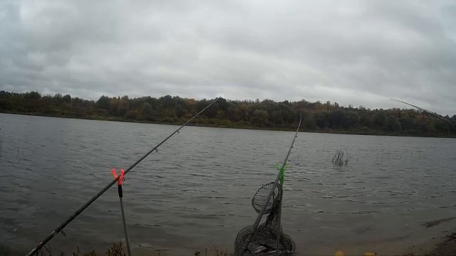 Осенняя рыбалка на фидер. Мои тонкости и советы.Отчёт Ока 14.10.2017 смотреть онлайн