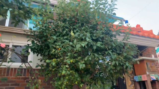 KOREA VLOG | Где в Корее Снимают Кино и Дорамы | Популярные Места Для Свиданий В Корее |