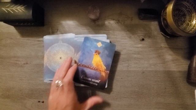 Spirit Animal Oracle unboxing & flip through. смотреть онлайн