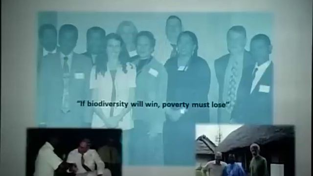 Challenging Times for Conservation in Madagascar смотреть онлайн