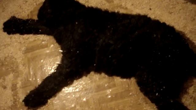 5 приступ 2 смотреть онлайн