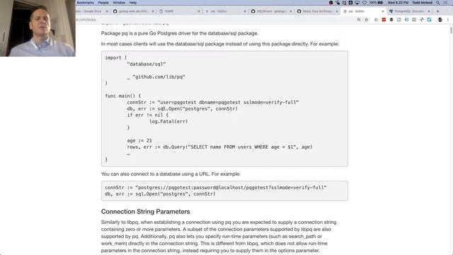 02 reviewing go and sql смотреть онлайн