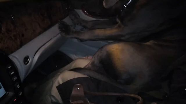 Едем домой (ночью) смотреть онлайн