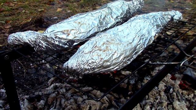 СКУМБРИЯ НА УГЛЯХ В ФОЛЬГЕ С ЧЕСНОКОМ ИЛИ ИМБИРЕМ, ЧТО ВКУСНЕЕ? смотреть онлайн