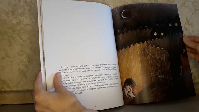 "История про кошку Розалинду, непохожую на других" Пётр Вилков. Отзыв на книгу. смотреть онлайн