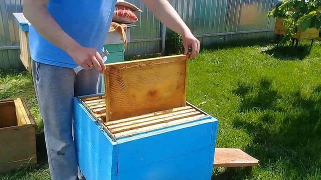 🔴Постановка второго корпуса в зимовалый отводок. Расширение смотреть онлайн