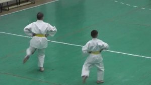 Экзамен на 7 кю оранжевый пояс ката