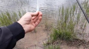 Ловля бомбардой на ультралайт+попла поппер