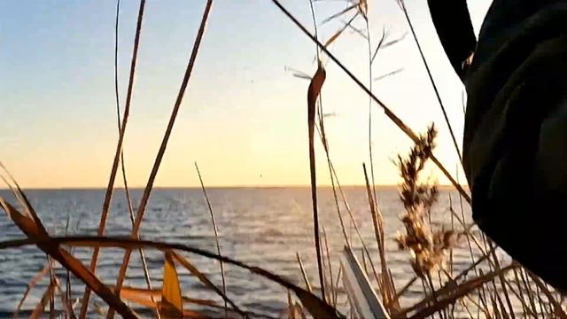 Охота на утку с чучелами на озере. Скрадок на лодке в камыше. смотреть онлайн