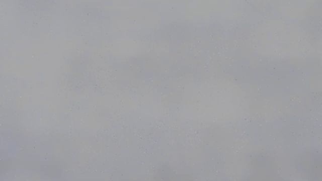 Полицейские рыбачат на сети Новобирилюссы. смотреть онлайн