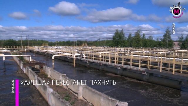 Мегаполис - «Алёша» перестанет пахнуть - Нижневартовск смотреть онлайн