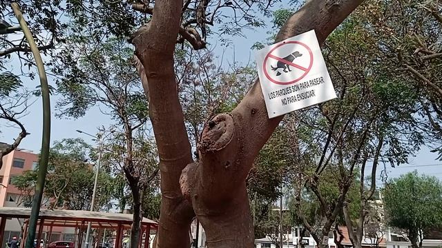 ????⭐✨?LOOK?AT?THE?PARK????IT'S?VERY?BEAUTIFUL???????LA?LIBERTAd?????✨?✨