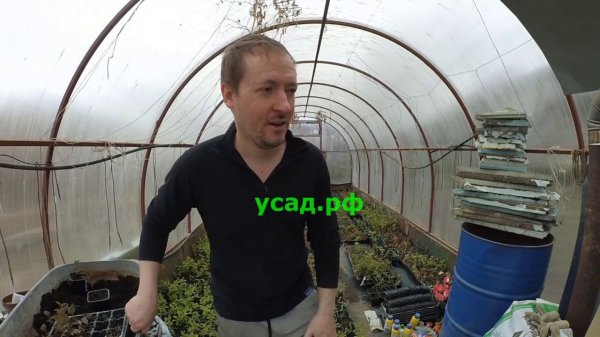 Я пытался. но не смог // живой товар // коза доза