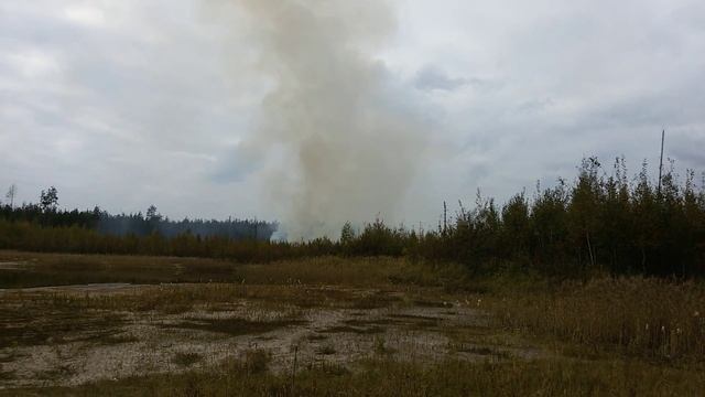 Горит лес за дизельным заводом. Брянск смотреть онлайн