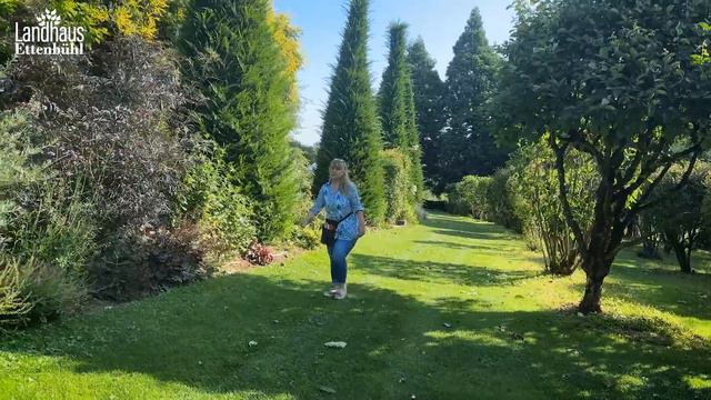 Clematis - RUGOSA Rosen - STAUDEN: SommerSchnitt - SO Geht's