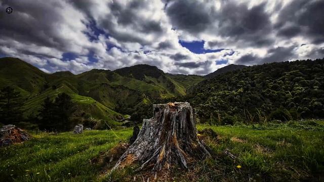 GoPro Max Lens Mod - GoPro 11 Or 12 Black Doesn't Need It