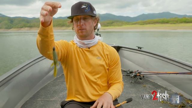 What Bass Fishing Hook to Use? Flipping Hook vs. EWG Hook смотреть онлайн