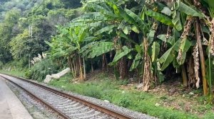 Новый Афон,Абхазия,Сентябрь месяц середина