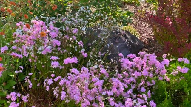 Early June Garden Tour, What's Blooming? смотреть онлайн