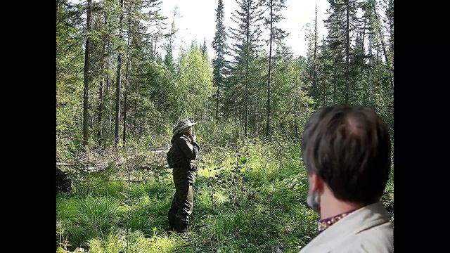 Гимн лесоустроителей РФ и не только….. смотреть онлайн