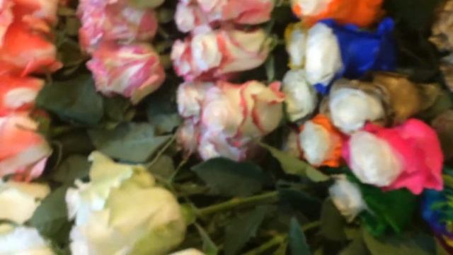 Эквадорская роза - пробник смотреть онлайн