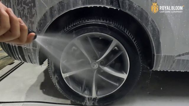 Royal Bloom Auto Wash Ultimate Gloss Streak Free Shampoo смотреть онлайн