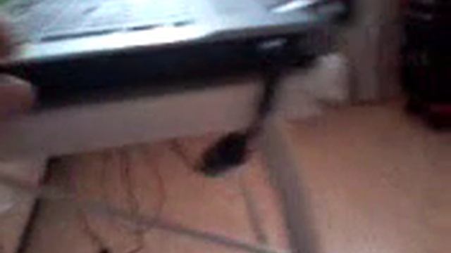 Игровой ноутбук acer смотреть онлайн